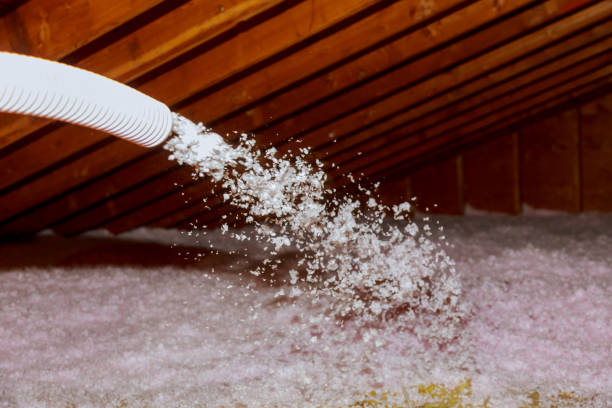Best Insulation Installation Services in Northumberland, PA